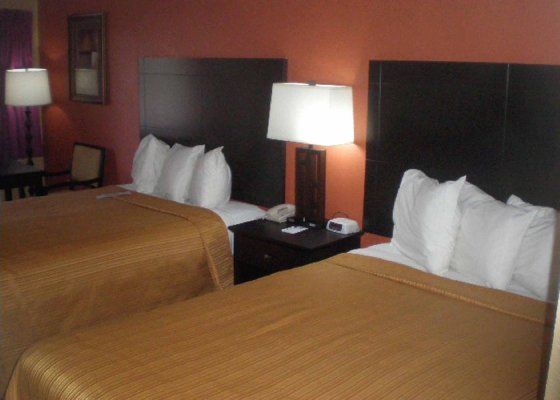 Quality Inn Near Blue Spring Orange City Room photo